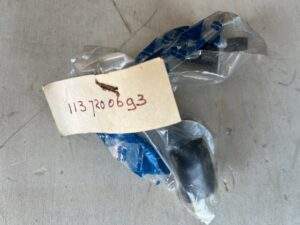 Bescherming pagode SL