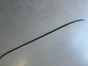 Afdek lijst Cabriokap 111/112